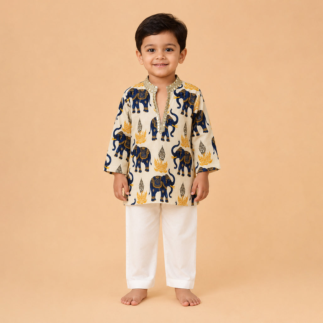 Neel Gajraj Kurta Set