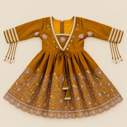 Jhilmil Sitara Anarkali Set
