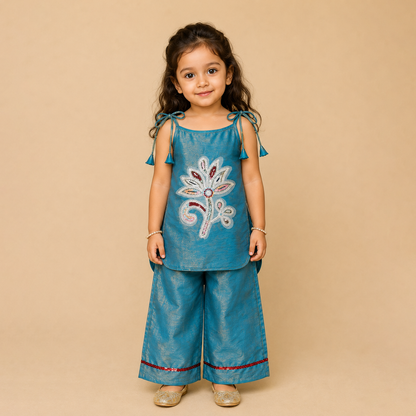 Neel Dori Co-ord Set
