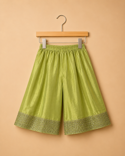 PISTACHIO GRACE ANARKALI SET