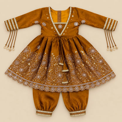 Jhilmil Sitara Anarkali Set
