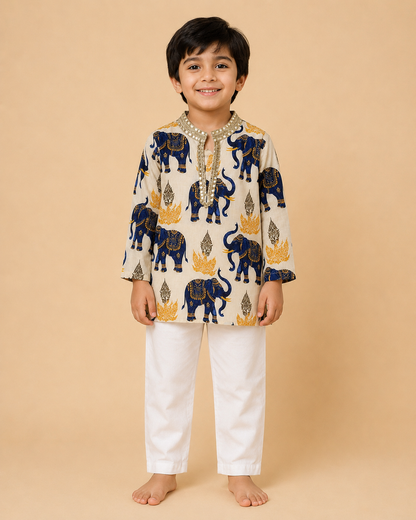 Neel Gajraj Kurta Set
