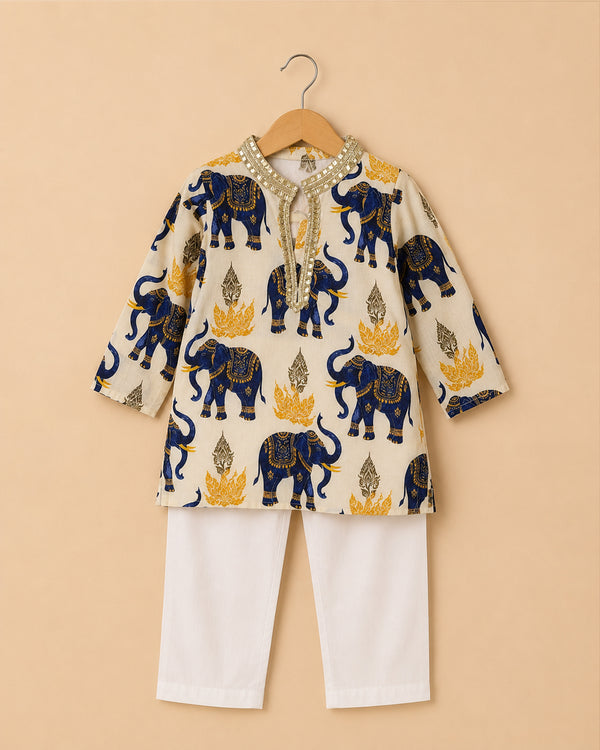 Neel Gajraj Kurta Set