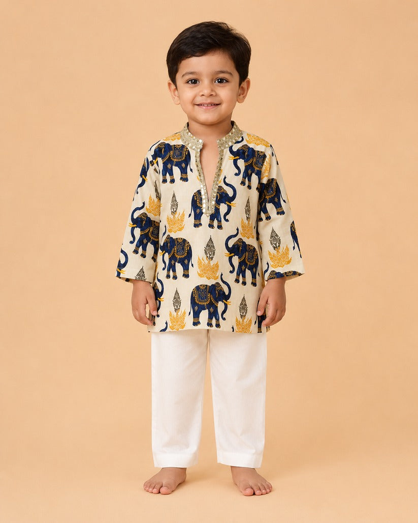 Neel Gajraj Kurta Set
